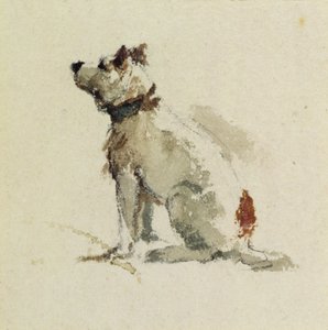 A Terrier, Sitting Facing Left